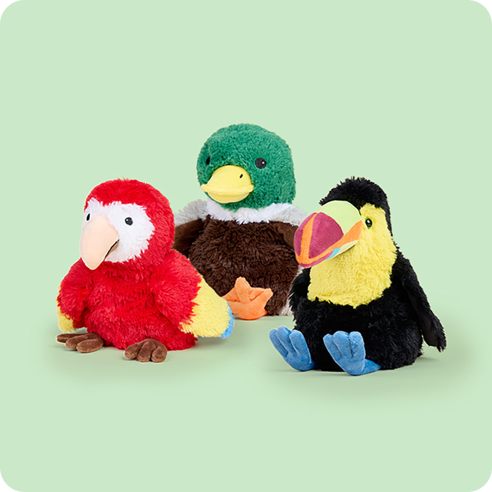 Bird Bundle